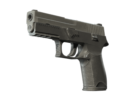 P250 CS2 weapon
